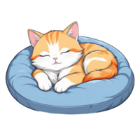 cat sleeping on a pillow png