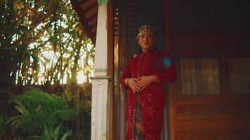 Woman in traditional red attire standing by a wooden house amidst greenery. video