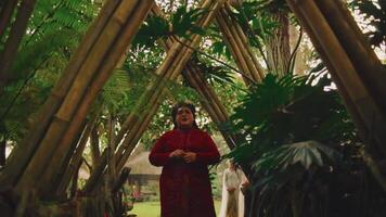 Person in red outfit standing amidst lush green bamboo forest, evoking a sense of tranquility video