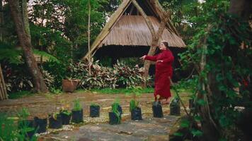 person i röd stående nära traditionell trä- hyddor omgiven förbi frodig grönska. video