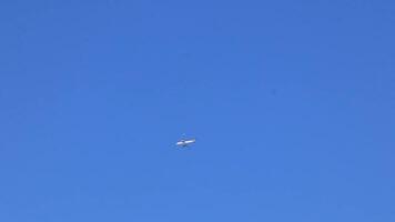 Plane flies over Puerto Escondido Mexico with blue sky. video