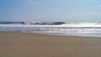 grymt bra enorm stor surfare vågor på strand puerto escondido Mexiko. video