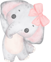 coqueta bebé elefante con rosado arco acuarela adorable guardería Arte png