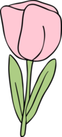 retro flor tulipán png