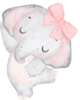 coqueta bebé elefante con rosado arco acuarela adorable guardería Arte png