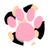 Cat Paw Cartoon illustration Calico Cat Paw png