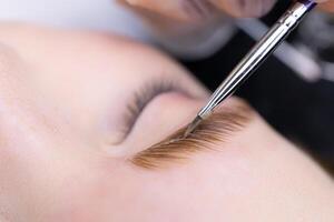 macro photography of eyebrow hairs on which paint is applied for coloring photo