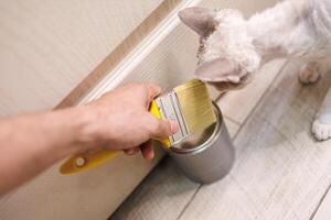 A man's hand is holding a paint brush, with a kitty cat nearby. Repair staining the doors with paint. photo
