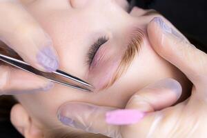 close-up of the eyebrows after the lamination procedure, the master tweezers to pluck the hairs photo
