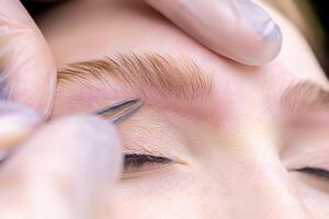 macro photography of the laid eyebrows with the help of lamination, the master tweezers pluck the contour of the eyebrows from excess hairs photo