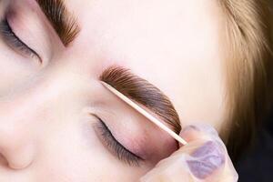 close-up of combed eyebrows with eyebrow paint applied to them photo