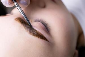 macro photography of eyebrow hairs, on which paint is applied with a brush for coloring after the procedure of long-term styling and lamination of eyebrows photo