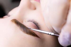 macro photography of eyebrow hairs, on which paint is applied with a brush for coloring after the procedure of long-term styling and lamination of eyebrows photo