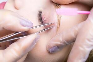 close-up of the eyebrows after the lamination procedure, the master tweezers to pluck the hairs photo