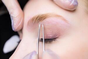 close-up of the eyebrow hairs after which the tip of the tweezers is located photo