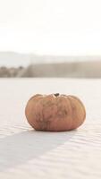 Víspera de Todos los Santos calabaza en el playa dunas video