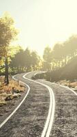 Curvy asphalt road through forest in autumn video