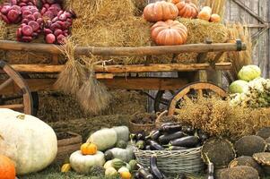 Fresh organic vegetables on farmer market. Local farm bazaar. Assortment of fresh organic harvest garden produce. Bio products, bio ecology. Natural healthy food festival. Agricultural rustic fair photo