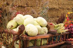 Fresh organic vegetables on farmer market. Local farm bazaar. Assortment of fresh organic harvest garden produce. Bio products, bio ecology. Natural healthy food festival. Agricultural rustic fair photo