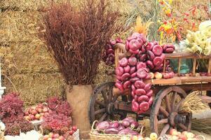 Fresh organic vegetables on farmer market. Local farm bazaar. Assortment of fresh organic harvest garden produce. Bio products, bio ecology. Natural healthy food festival. Agricultural rustic fair photo