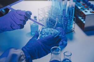 chemist,scientist hand dropping chemical liquid into test tube, science research and development concept photo