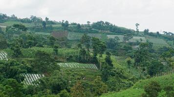 hill landscape with various farms photo