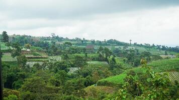 hill landscape with various farms photo