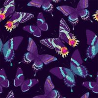 pattern with high detailed tropic butterfly photo