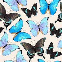 modelo con alto detallado trópico mariposa foto