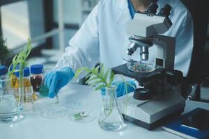 científico corte planta pañuelo de papel cultura en petri plato, ejecutando laboratorio experimentos pequeño planta pruebas. espárragos y otro tropical planta. tailandia suave luz, de cerca. foto