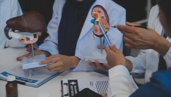 médico, reunión y ordenador portátil para equipo en oficina en discusión, lluvia de ideas y planificación. doctor, enfermero y computadora en escritorio, trabajo en equipo o taller para modelo interno Organo. foto