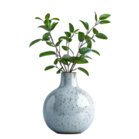 A pot with a spathiphyllum and sansevieria on a transparent background. png