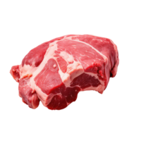 sabroso y delicioso carne pedazo en transparente antecedentes png