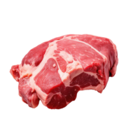 lecker und köstlich Fleisch Stück auf transparent Hintergrund png