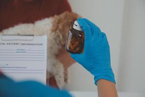 Closeup shot of veterinarian hands checking dog by stethoscope in vet clinic photo