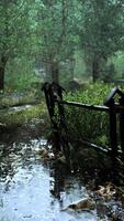 oude houten omheining en onverharde weg op het platteland in het zomerseizoen video