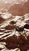 insight mars explorando a superfície do planeta vermelho. elementos fornecidos pela nasa. video