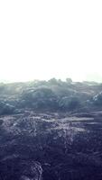 mistig berglandschap met sneeuwkroonlijst over afgrond binnen wolk video