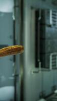 cetriolo sottaceto marinato che galleggia nella stazione spaziale internazionale video