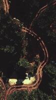 vista aérea del camino a través del bosque video