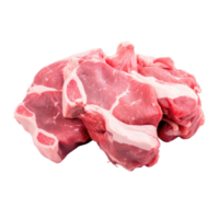 Tasty and delicious meat piece on transparent background png