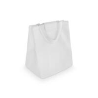 Foldable Lunch Bag on white background photo