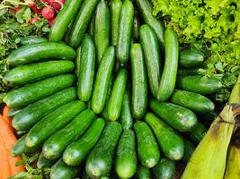 puesto de Pepino en mercado lugar. Pepino parar. verde Pepino. sano comiendo alimento. foto