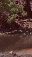 Lake Powell at sunny day in summer video