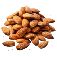 almond on Transparent Background png