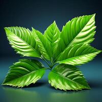 3d green leaf images photo