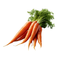 carrot transparent background png