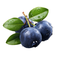 Blueberry with leave on transparent Background png