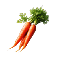 carrot transparent background png