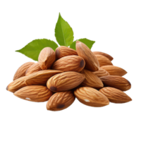 almond on Transparent Background png